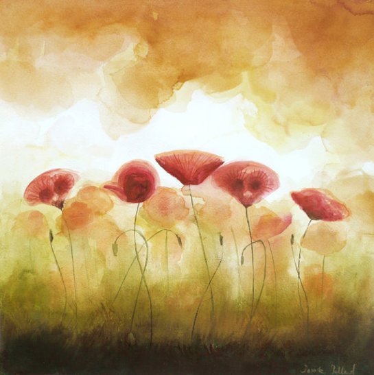 Poppies