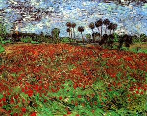 field-with-poppies